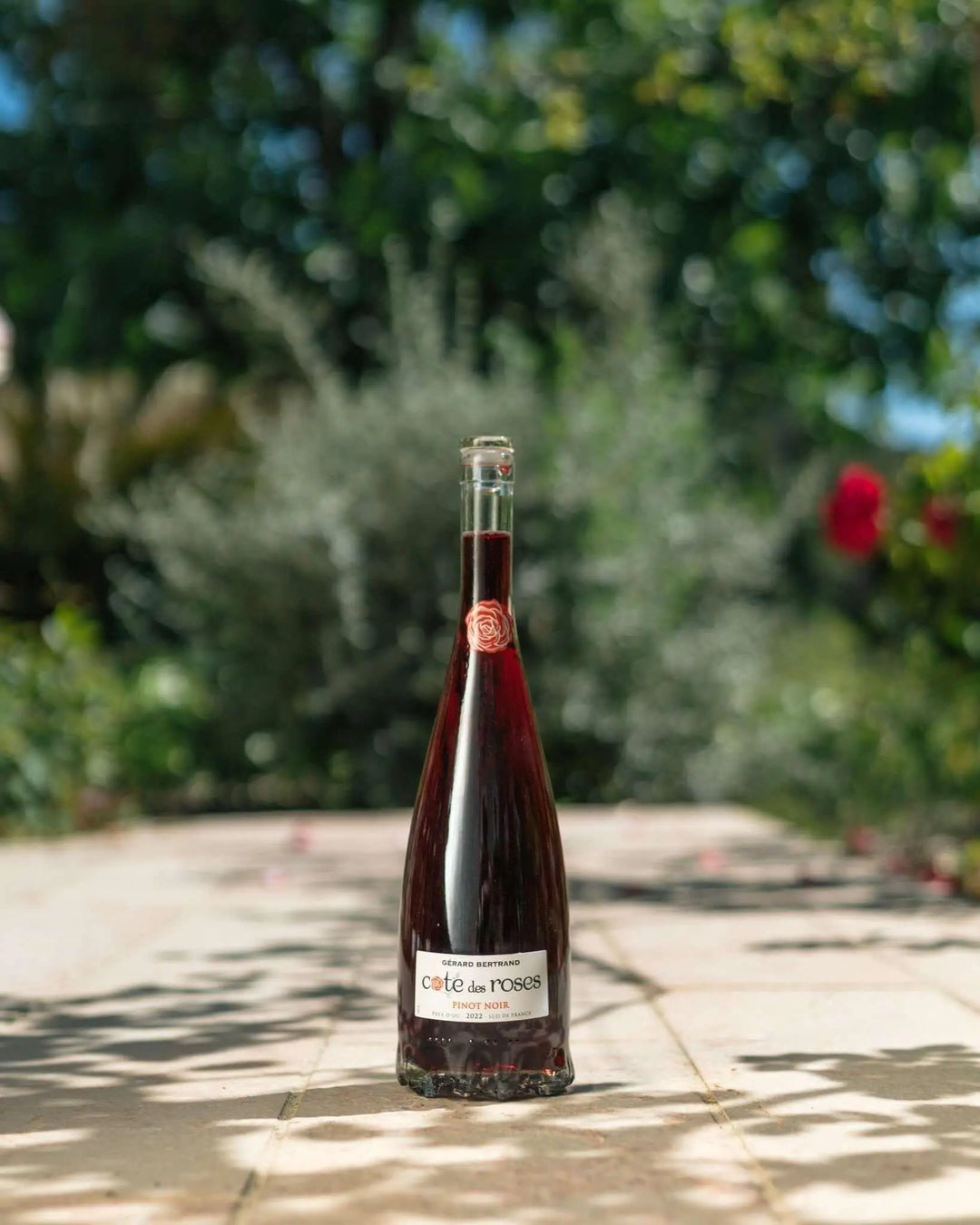 Cote des Roses Pinot noir (750ml) - Main Street Liquor