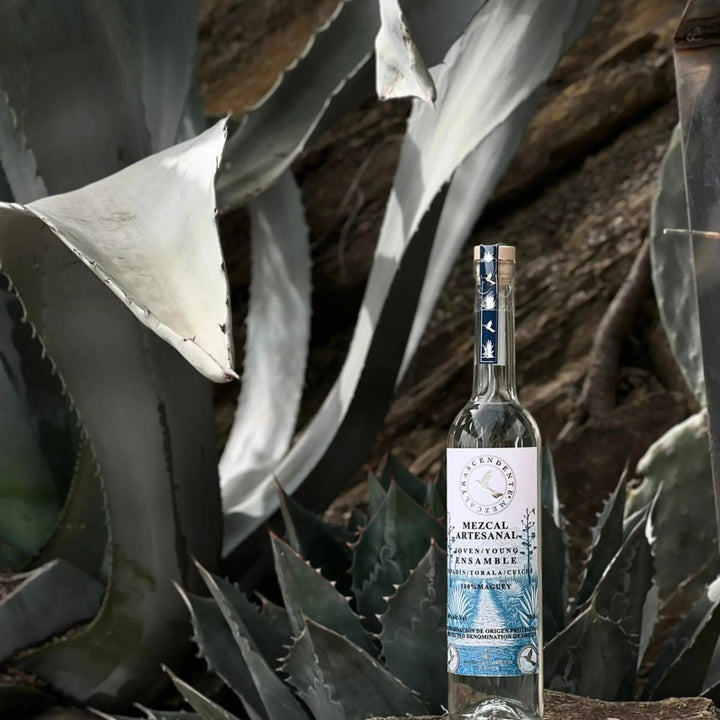 Mezcal Trascendente Ensamble 700ml - Main Street Liquor