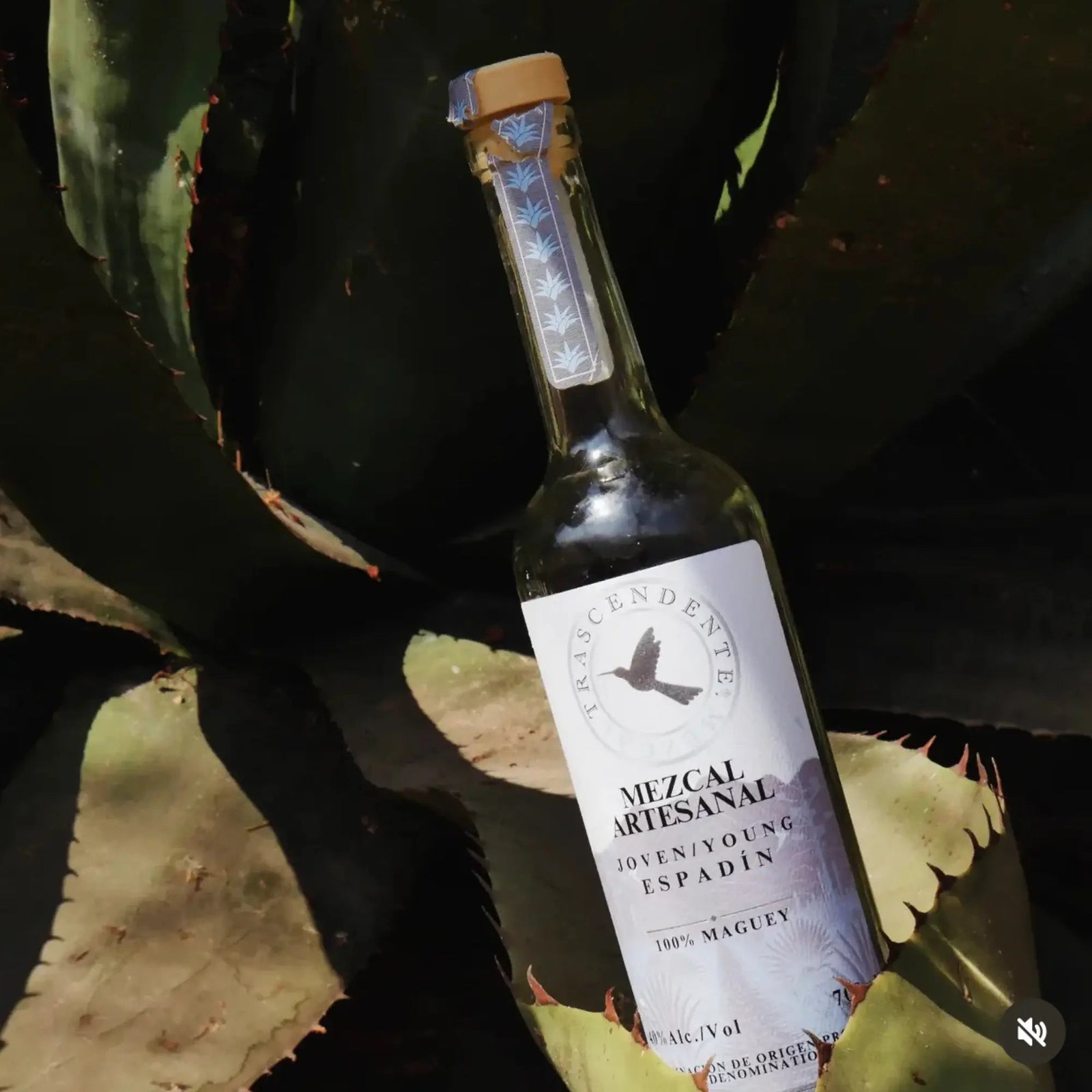 Mezcal Trascendente Espadin 700ml - Main Street Liquor