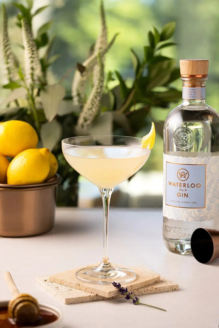 Waterloo No.9 Gin - Main Street Liquor